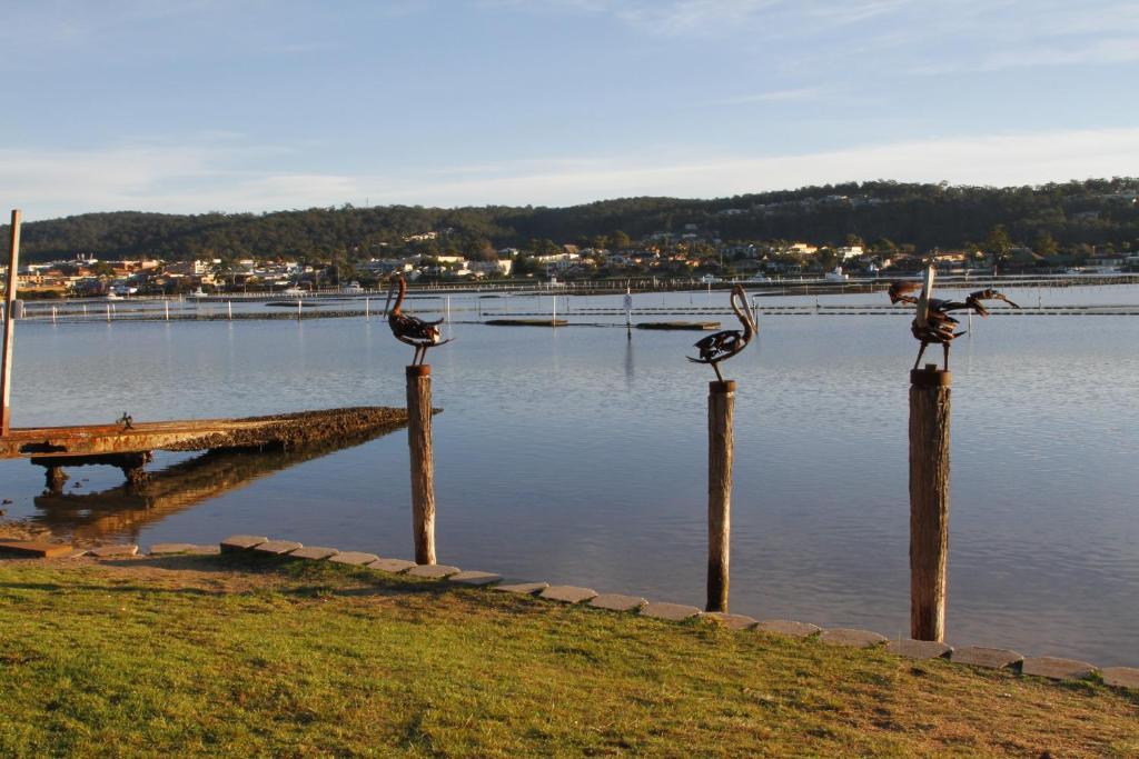 Sails Luxury Apartments Merimbula Extérieur photo